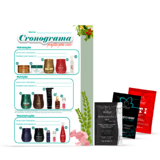 Kit Experimente Clorofitum